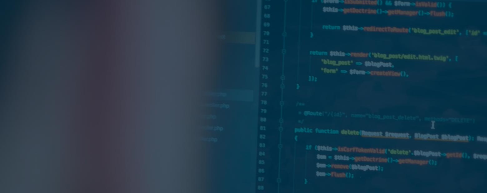 développement web tech lead