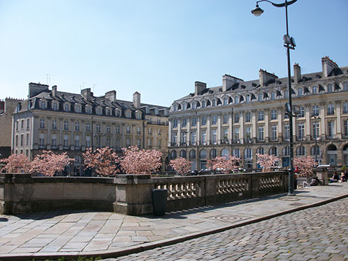Pourquoi choisir la capitale bretonne pour les études supérieures ? 